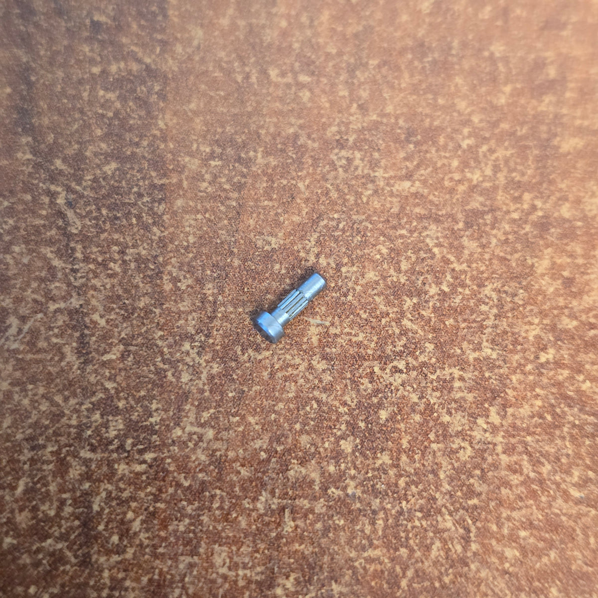Bolex 1:1 Motor Shaft Pin