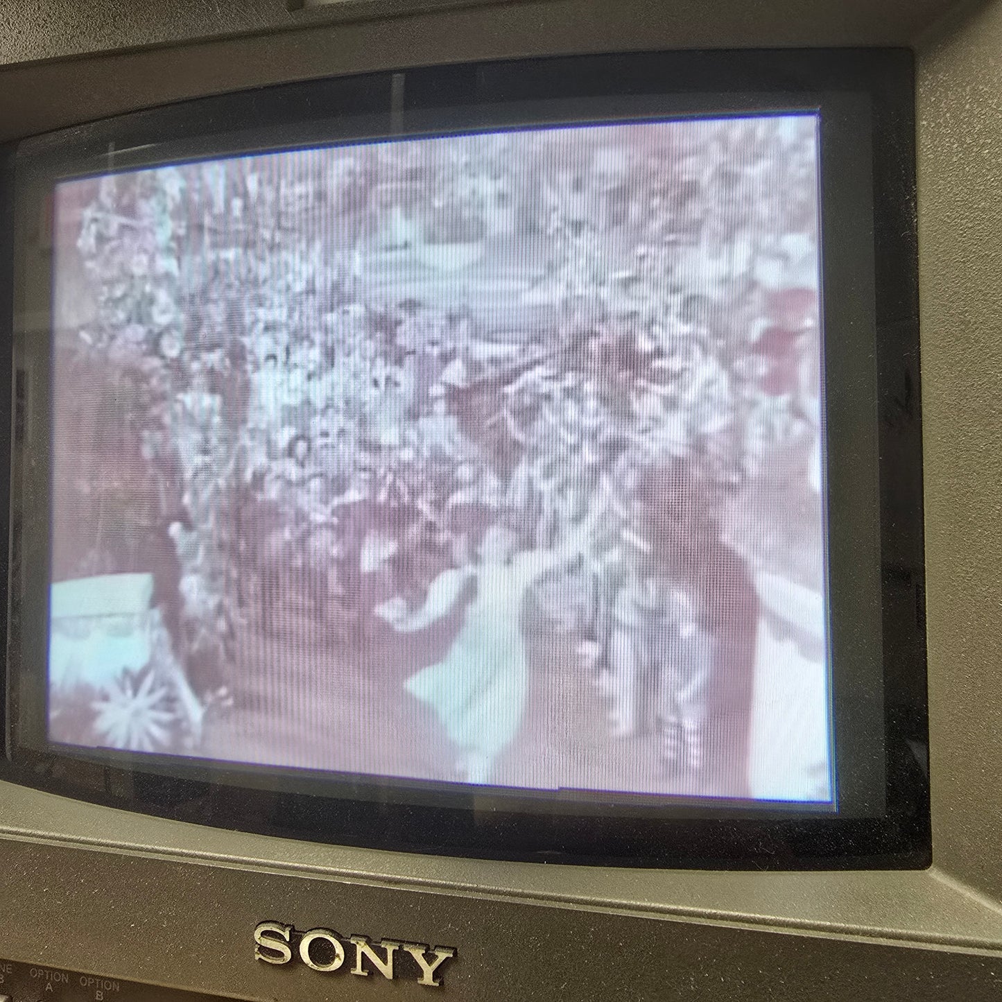 The Wizard of Oz - Super 8mm Sound film 400'