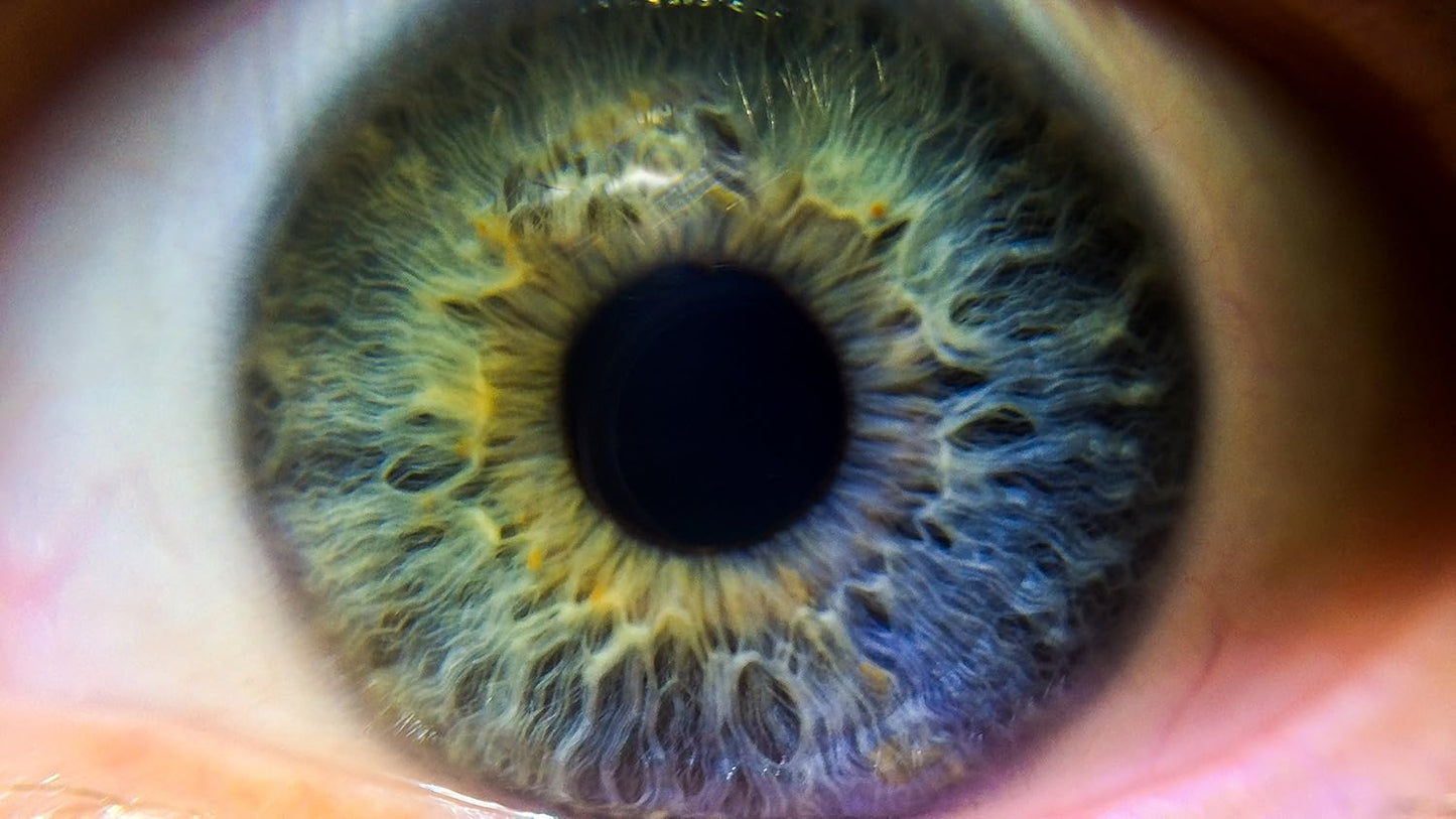 Digital NC 67mm Close-Up 10x Macro HD German Optics