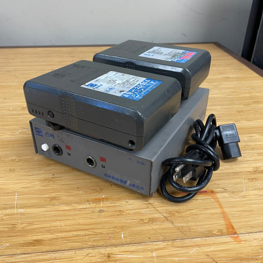 Phylion AN-2000A AB/Gold Mount Batteries (2) w/ Dual Charger Kit #2