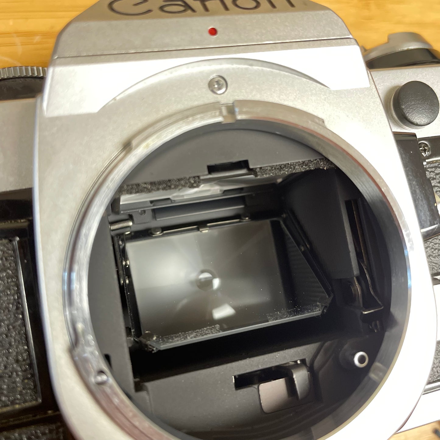 Canon AE-1 Program 35mm Camera Body S# 1987571 with Canon FD 50mm T1.8 Lens S# 4594729