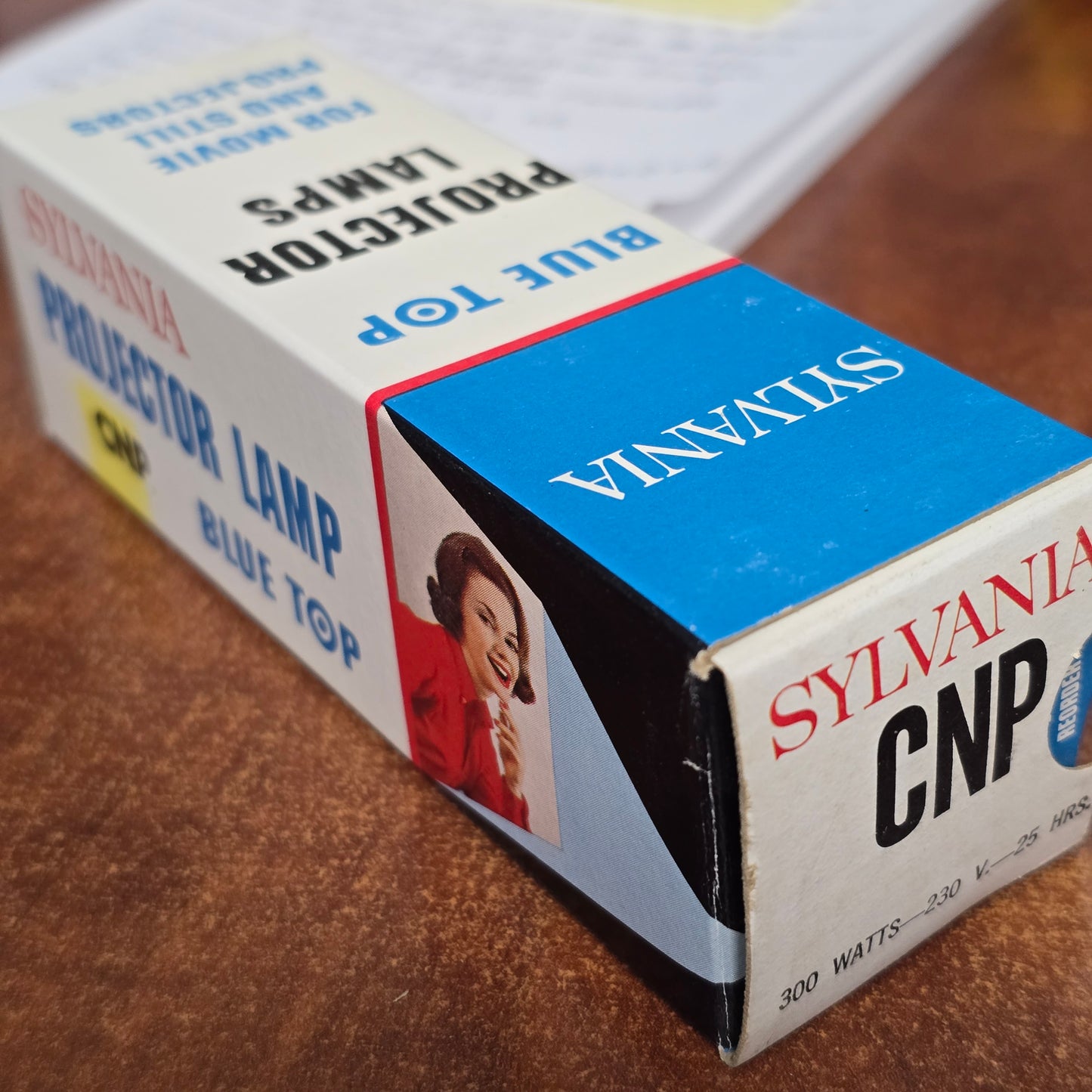 Sylvania CNP Lamp 230V 300W