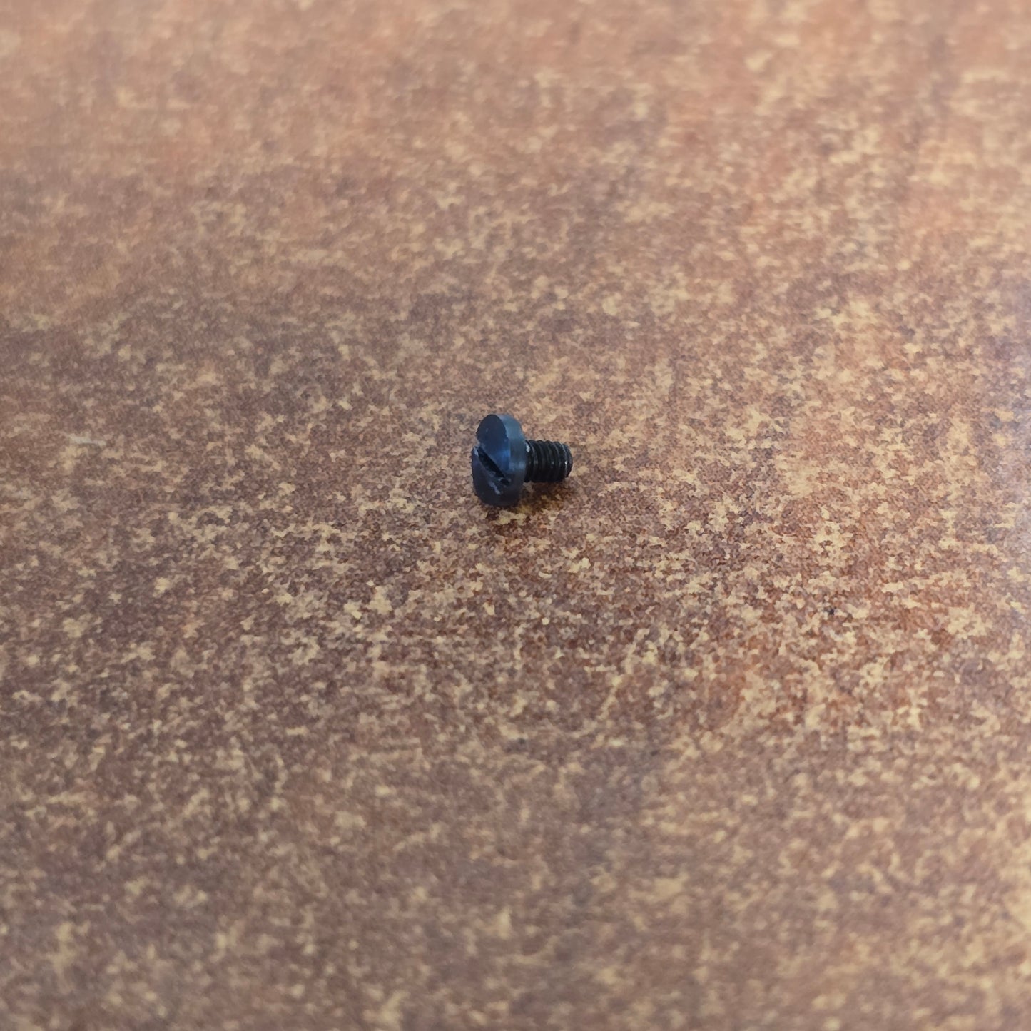 Bolex Nylon Gear / Square Washer Screw 100.17.13 OX