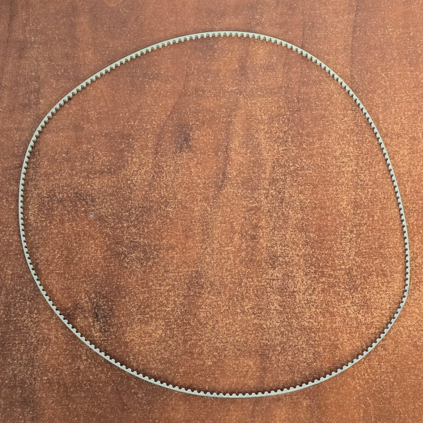 Aaton Magazine Drive Belt T2.5x500