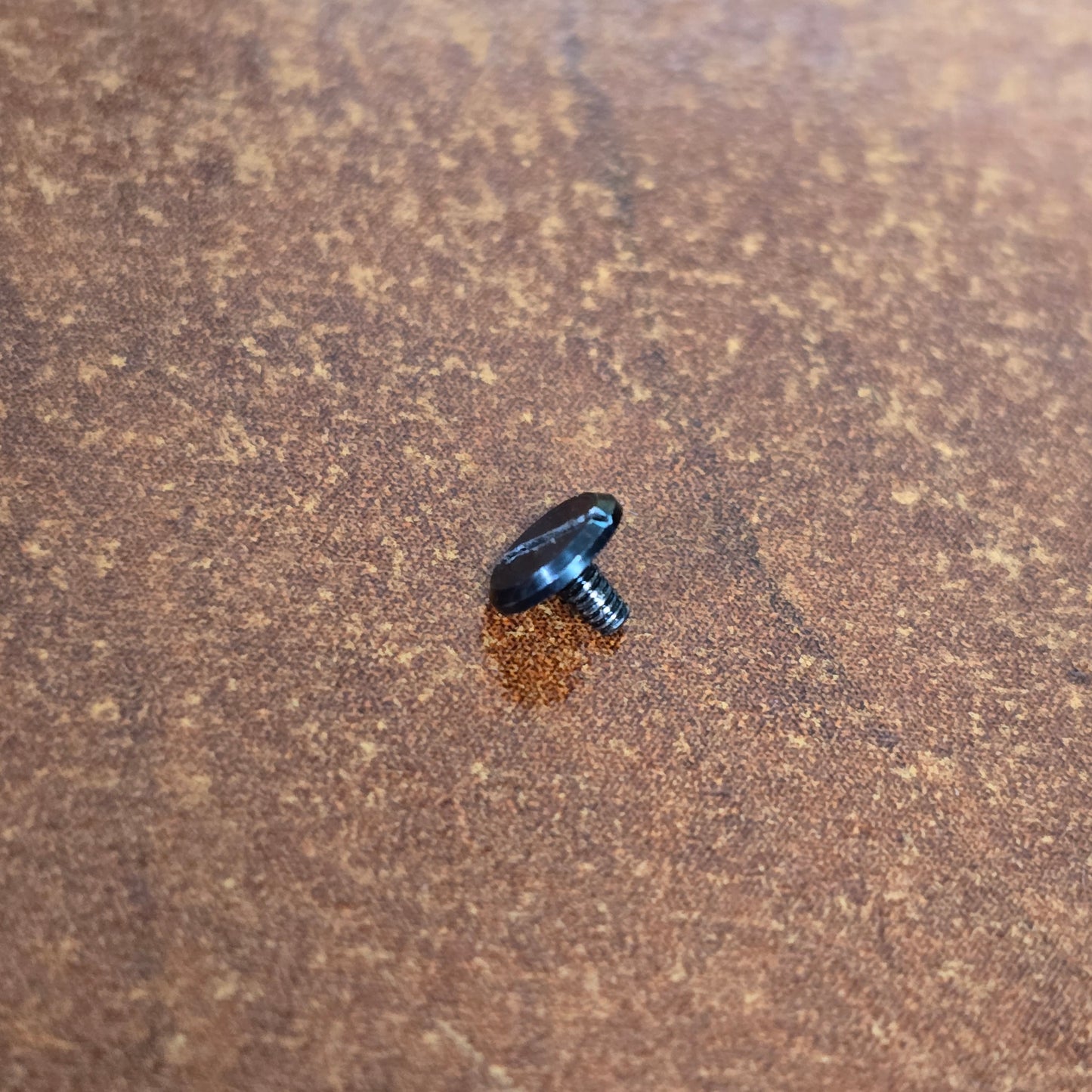 Bolex Claw Assembly Screw