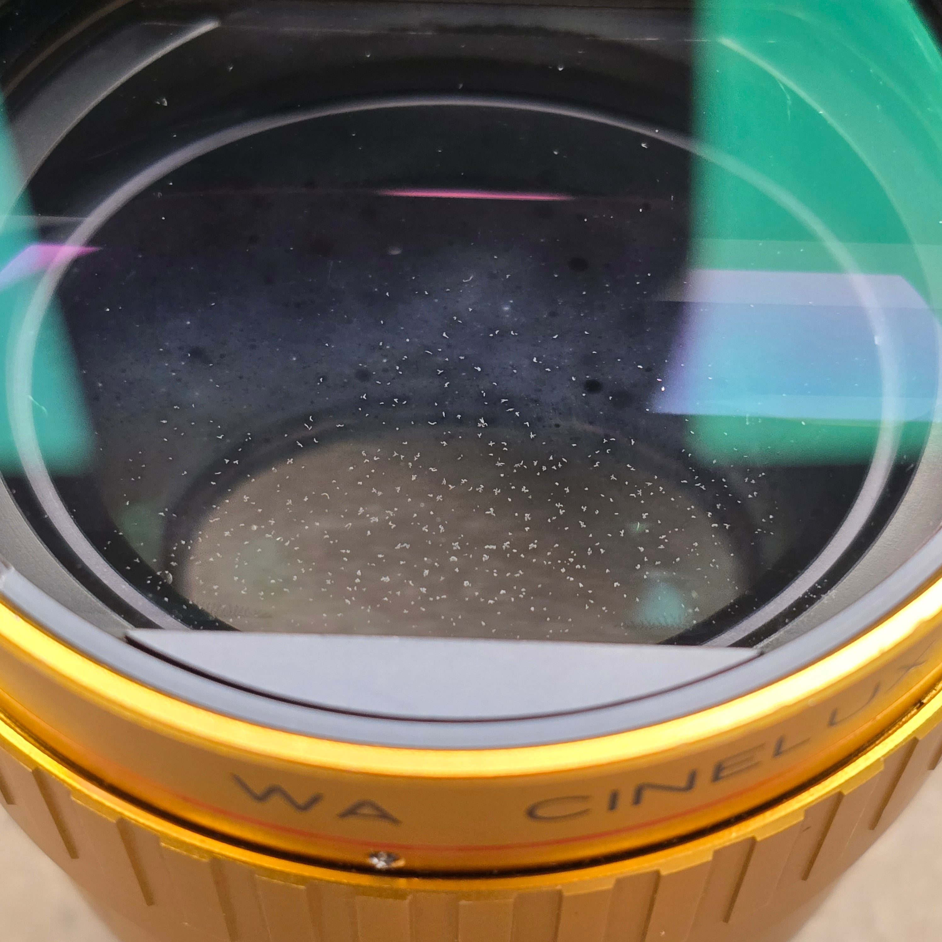 Schneider Cinelux 2X MC アナモルフィックレンズ Schneider WA Cinelux Anamorphic 2x – Du-All Camera